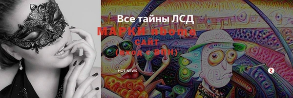 СК Новодвинск